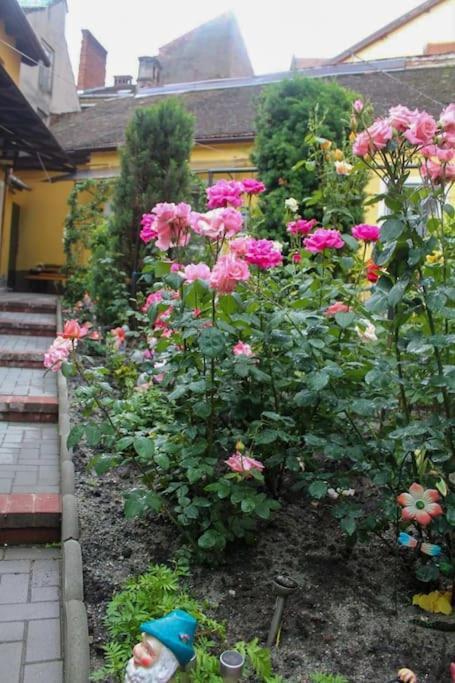 Color Home Hermannstadt 1 Екстер'єр фото